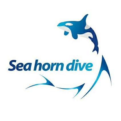 Seahorn dive